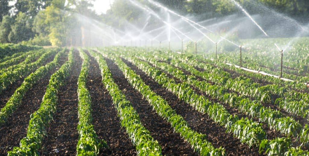 Smart irrigation (sensors)