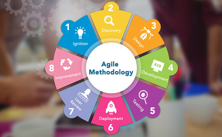 Agile Lifecycle