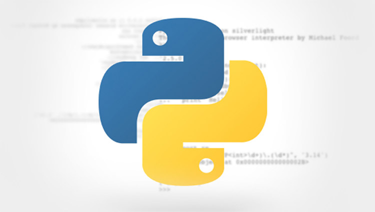 The Python Programming Language