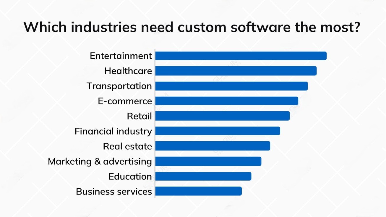 Which industries need custom software the most