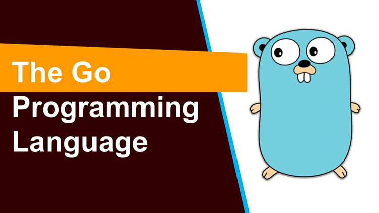 The Go Programming Language