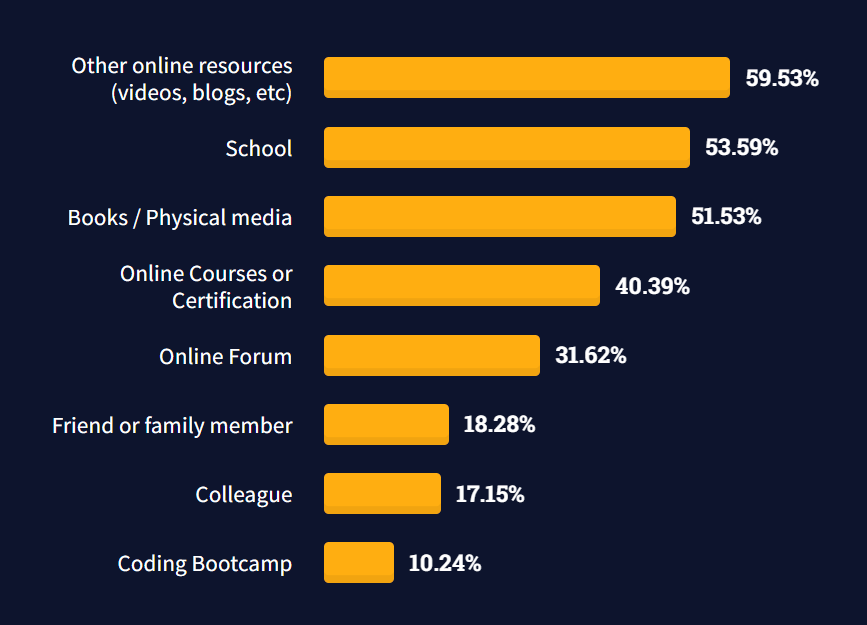 Software developer learning path